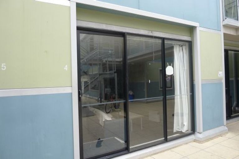 Photo of property in 4/3 King Street, Mount Cook, Wellington, 6021