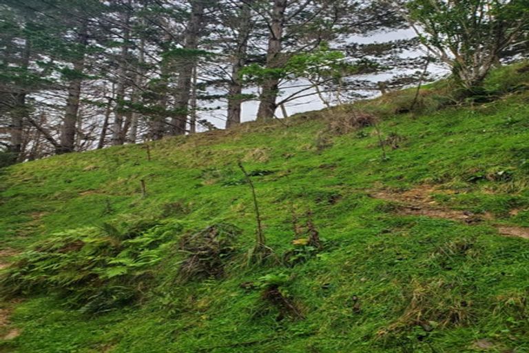 Photo of property in 482 Krippner Road, Puhoi, Warkworth, 0994