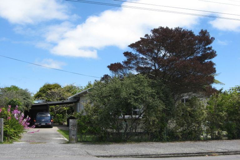 Photo of property in 20 Derby Street, Westport, 7825