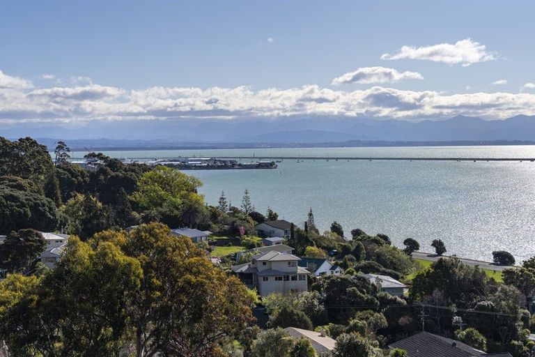 Photo of property in 63 Brooklands Road, Atawhai, Nelson, 7010