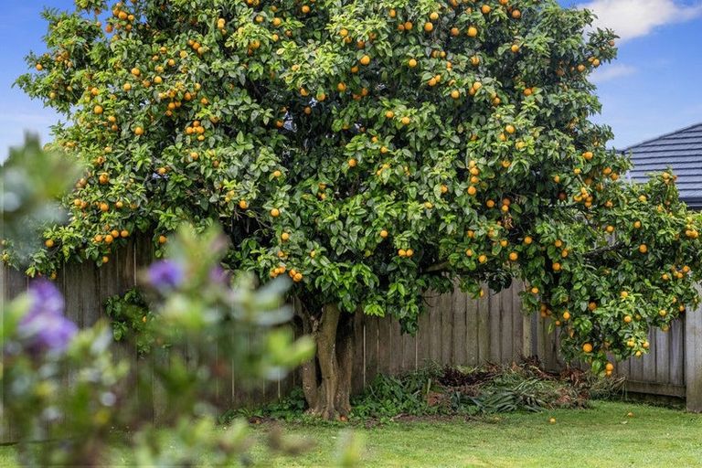 Photo of property in 163b Bankwood Road, Chartwell, Hamilton, 3210