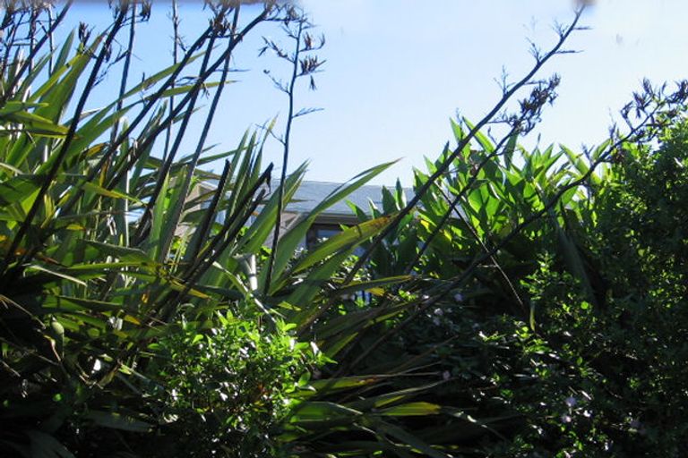 Photo of property in 65 Shetland Street, Glen Eden, Auckland, 0602