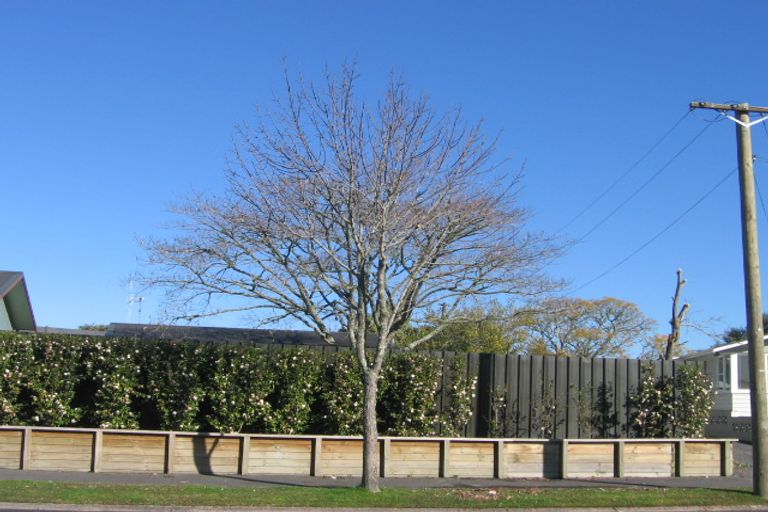 Photo of property in 9 Carlyle Avenue, Chartwell, Hamilton, 3210