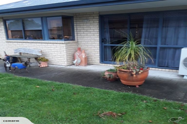 Photo of property in 14 Loveridge Place, Morrinsville, 3300
