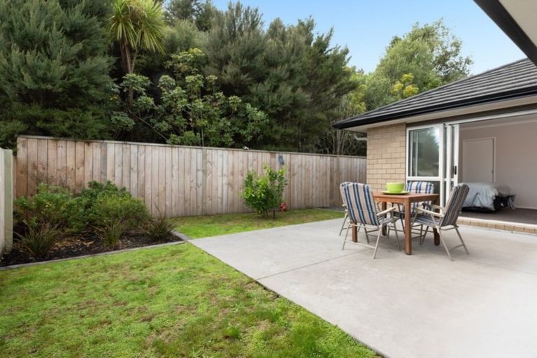 Photo of property in 160 Kennedy Road, Pyes Pa, Tauranga, 3112
