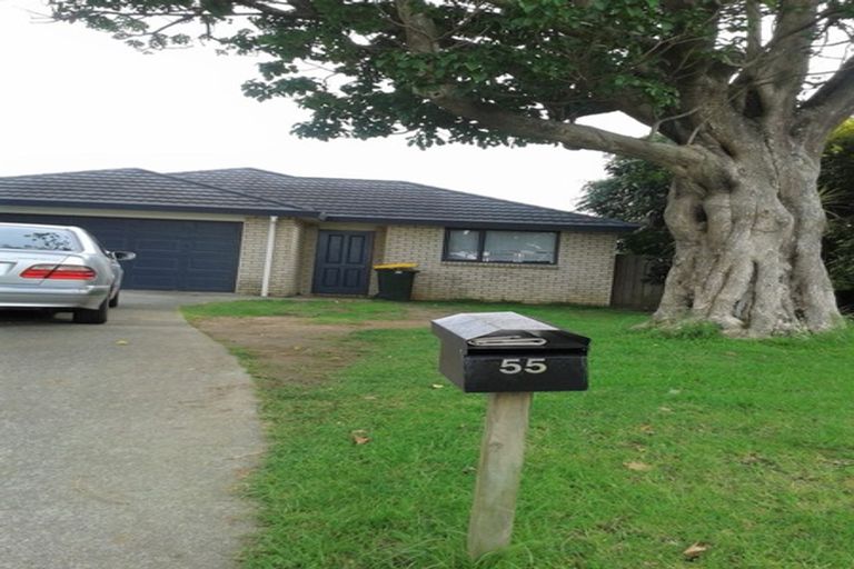 Photo of property in 55 Kayes Road, Pukekohe, 2120