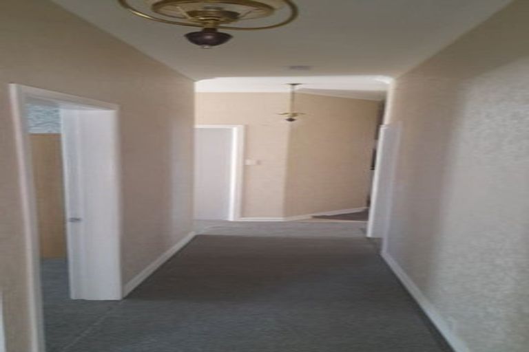 Photo of property in 14 Puriri Street, Miramar, Wellington, 6022