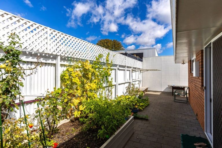 Photo of property in 3 Andrew Street, Blenheim, 7201