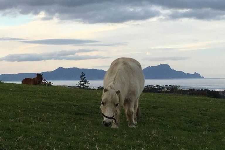 Photo of property in 25 Seamore Rise, Waipu, 0582