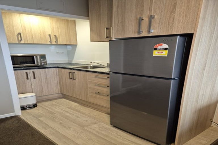 Photo of property in Avon Flats, 217u7 The Terrace, Wellington Central, Wellington, 6011
