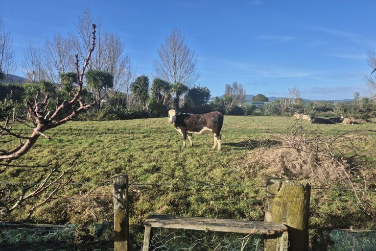 Photo of property in 4 Courthouse Lane, Coromandel, 3506