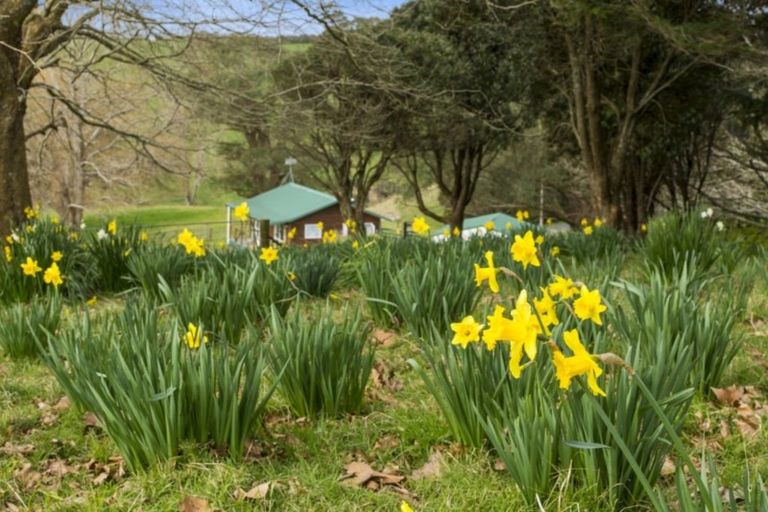 Photo of property in 76 Stewart Road, Whakamarama, Katikati, 3181