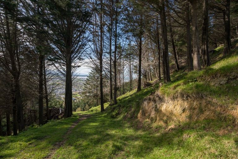 Photo of property in 14 Hillplough Heights, Richmond, 7020