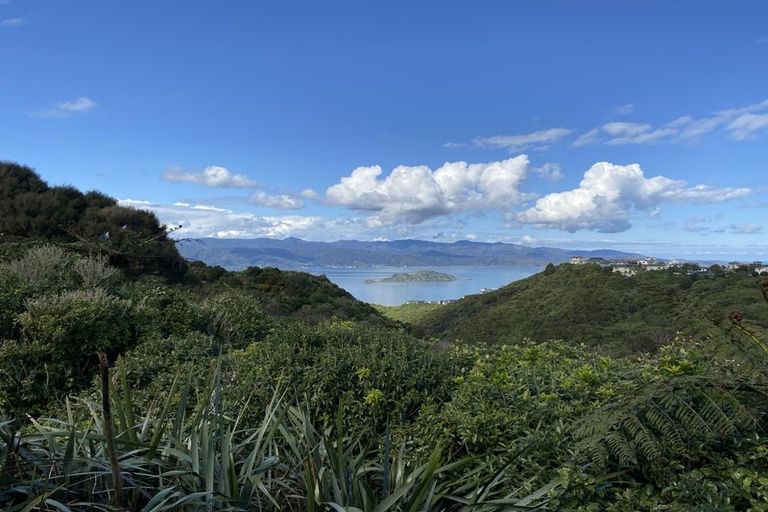 Photo of property in 20 Ladbrooke Drive, Newlands, Wellington, 6037