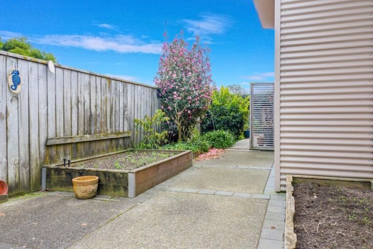 Photo of property in 39a Henderson Street, Whakatane, 3120