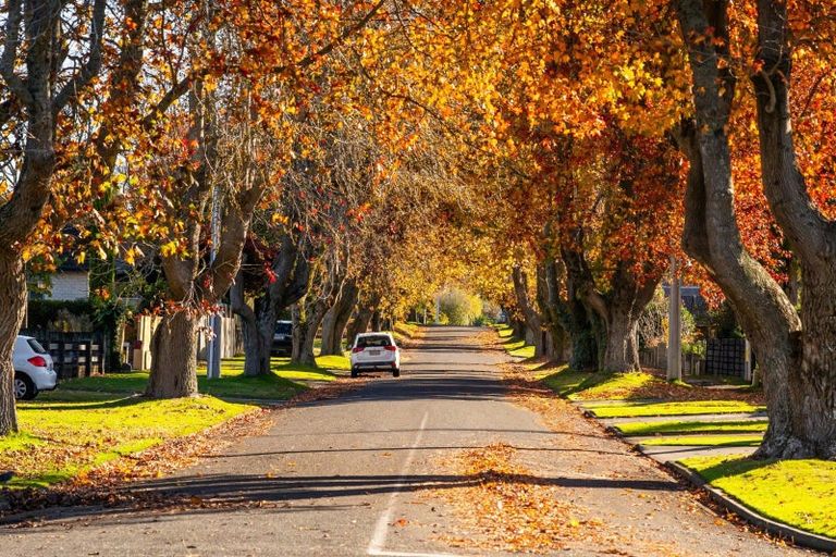 Photo of property in 26e Wylie Street, Glenholme, Rotorua, 3010