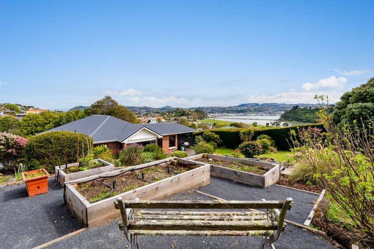 Photo of property in 43 Sunbury Street, Andersons Bay, Dunedin, 9013
