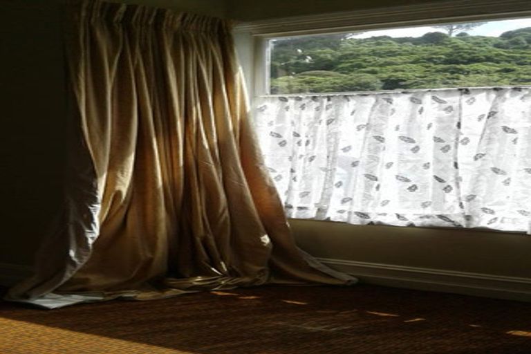 Photo of property in 37 Woodhaugh Street, Woodhaugh, Dunedin, 9010