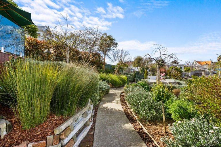 Photo of property in 14 Cameron Road, Bluff Hill, Napier, 4110