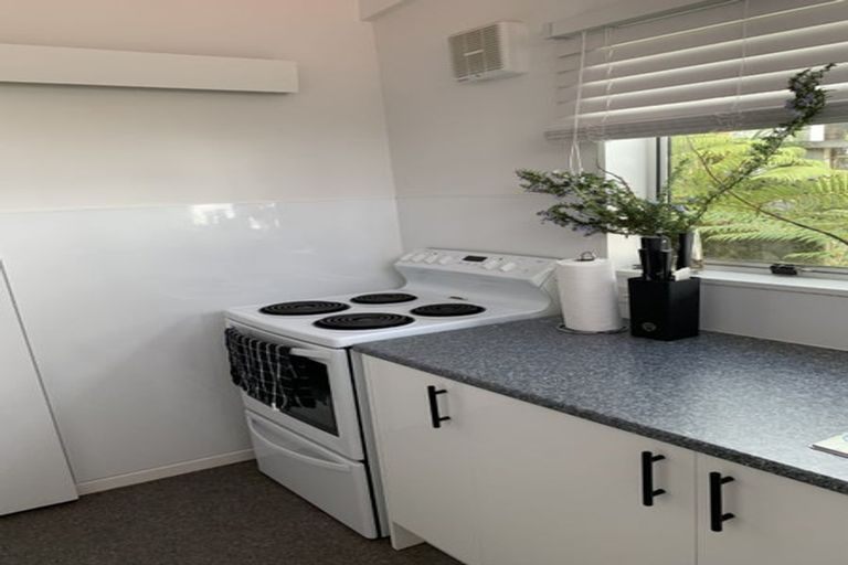 Photo of property in 89a Hamilton Road, Hataitai, Wellington, 6021