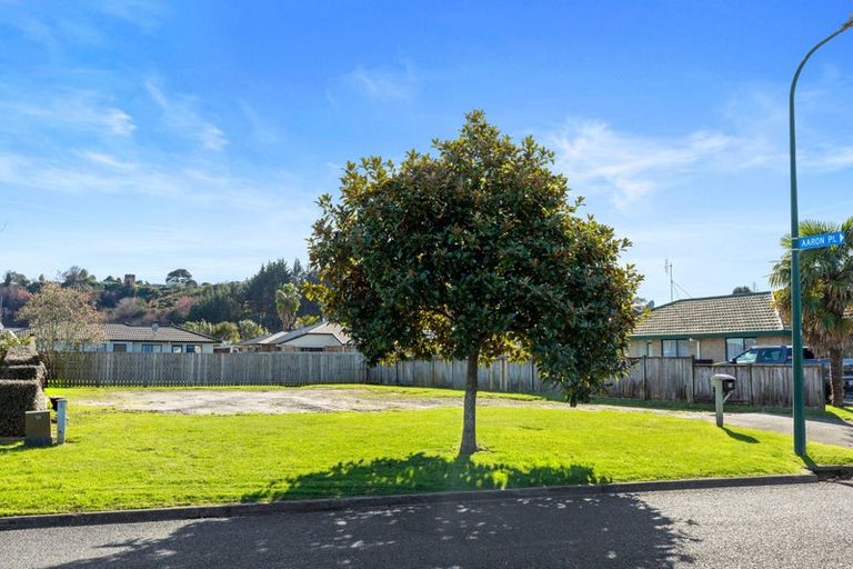 Photo of property in 42 Solomon Street, Brookfield, Tauranga, 3110