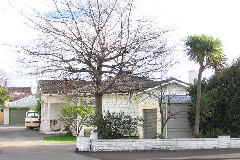 Photo of property in 54a Fitzroy Street, Terrace End, Palmerston North, 4410