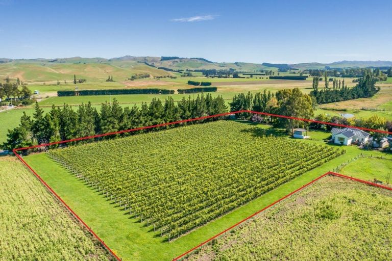 Photo of property in 1114 Omihi Road, Omihi, Amberley, 7483