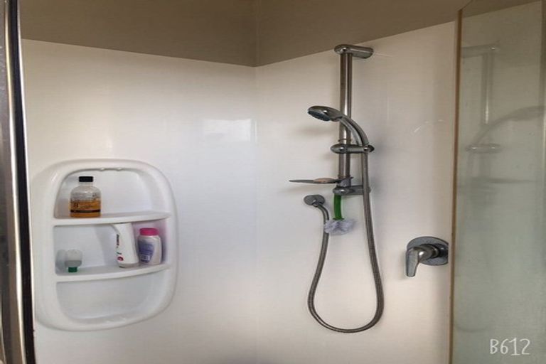Photo of property in 47 Mandival Avenue, Flat Bush, Auckland, 2019