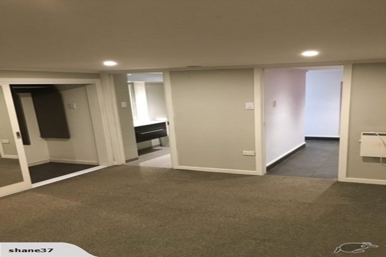 Photo of property in 52 Elwyn Crescent, Green Island, Dunedin, 9018
