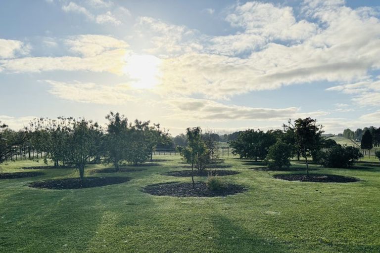 Photo of property in 67 Worsnop Road, Ruatangata West, Whangarei, 0176