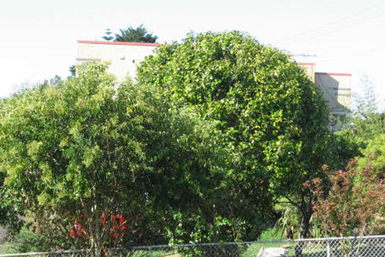 Photo of property in 16a Gardner Avenue, New Lynn, Auckland, 0600