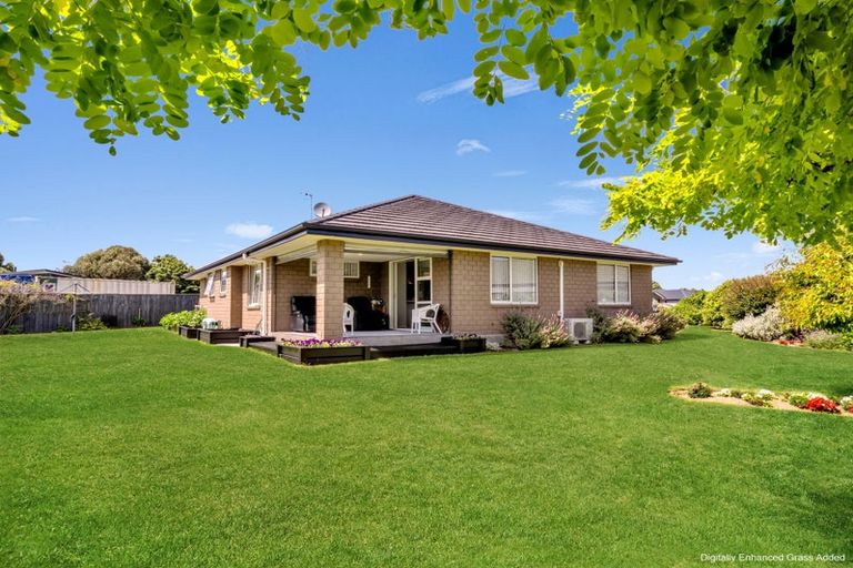 Photo of property in 11 Ngaio Street, Levin, 5510
