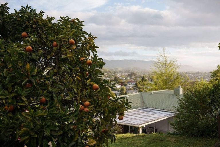 Photo of property in 25 Maire Street, Tahunanui, Nelson, 7011