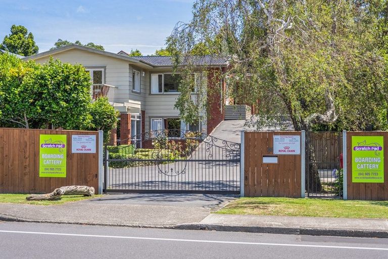 Photo of property in 85 Rimu Road, Raumati Beach, Paraparaumu, 5032