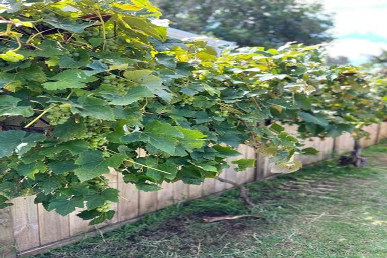 Photo of property in 294 Kamo Road, Te Kamo, Whangarei, 0112