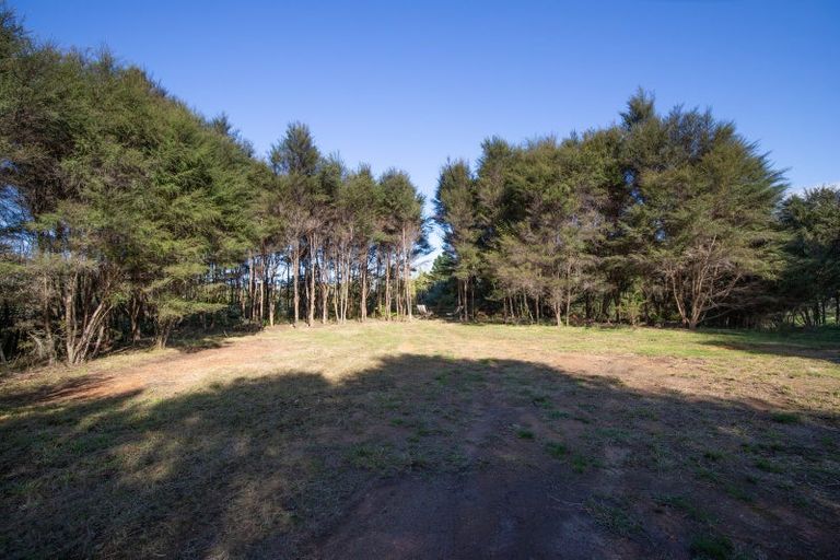 Photo of property in 99 Otonga Valley Road, Raglan, 3295