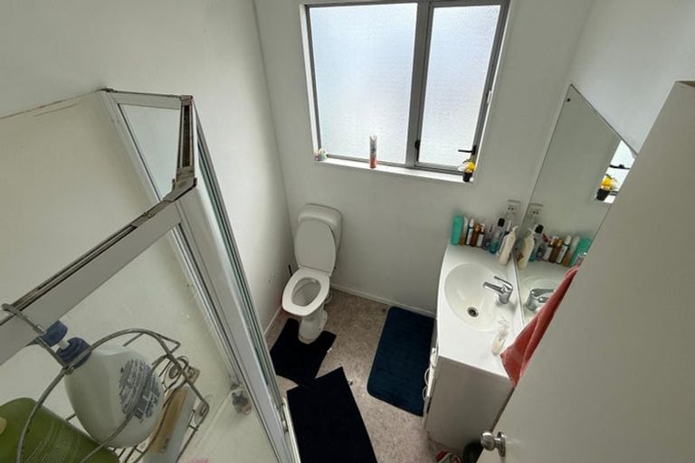 Photo of property in 11 Douglas Street, Mount Cook, Wellington, 6021