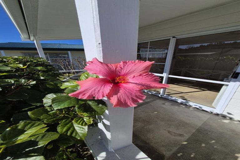 Photo of property in 4 Courthouse Lane, Coromandel, 3506