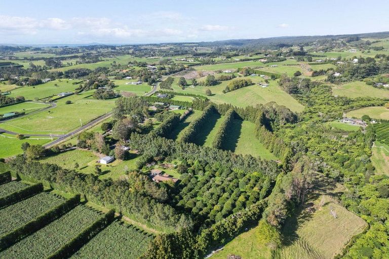 Photo of property in 486 Esdaile Road, Whakamarama, Tauranga, 3180