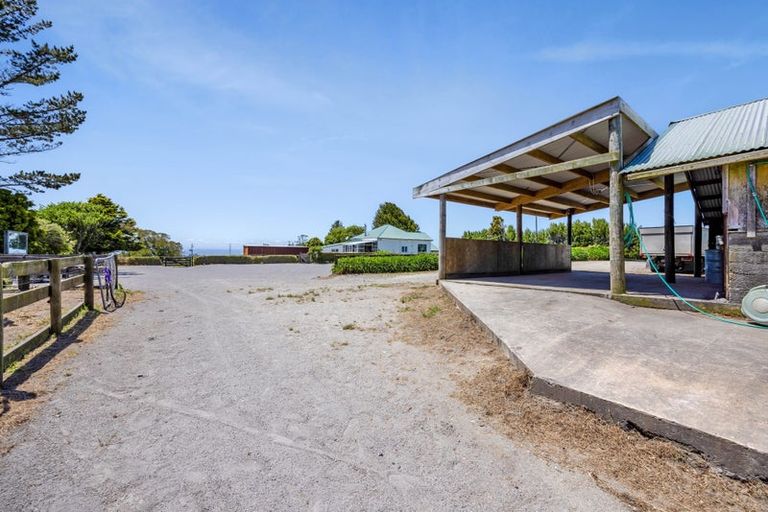 Photo of property in 1 Waingongoro Road, Cardiff, Stratford, 4391