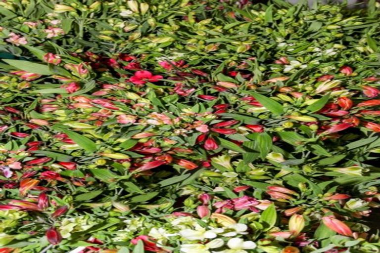 Photo of property in 1066 Egmont Road, Egmont Village, New Plymouth, 4372