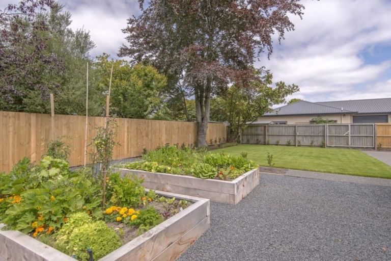 Photo of property in 40 Knowles Street, St Albans, Christchurch, 8052