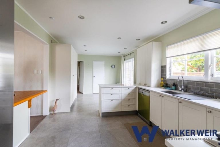 Photo of property in 58 Stanniland Street, Sunnyhills, Auckland, 2010