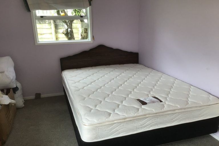 Photo of property in 4 Bush Street, Gate Pa, Tauranga, 3112