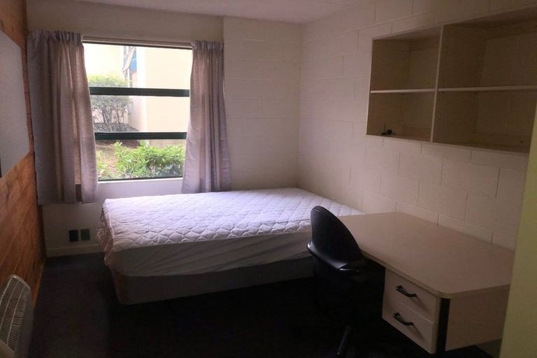 Photo of property in Te Awhina Apartments, 18/22u Sussex Street, Mount Cook, Wellington, 6021