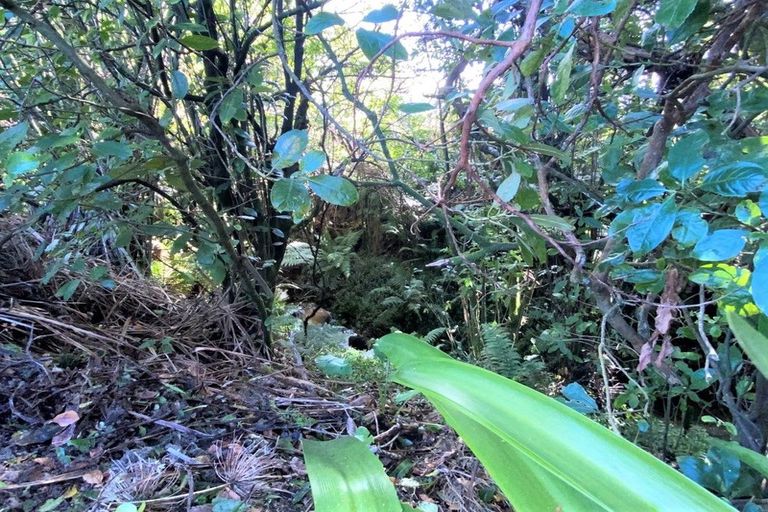 Photo of property in 20a Oberon Street, Stratford, 4332