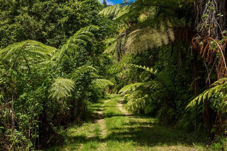 Photo of property in 185 Kanuka Rise, Wakapuaka, Nelson, 7071