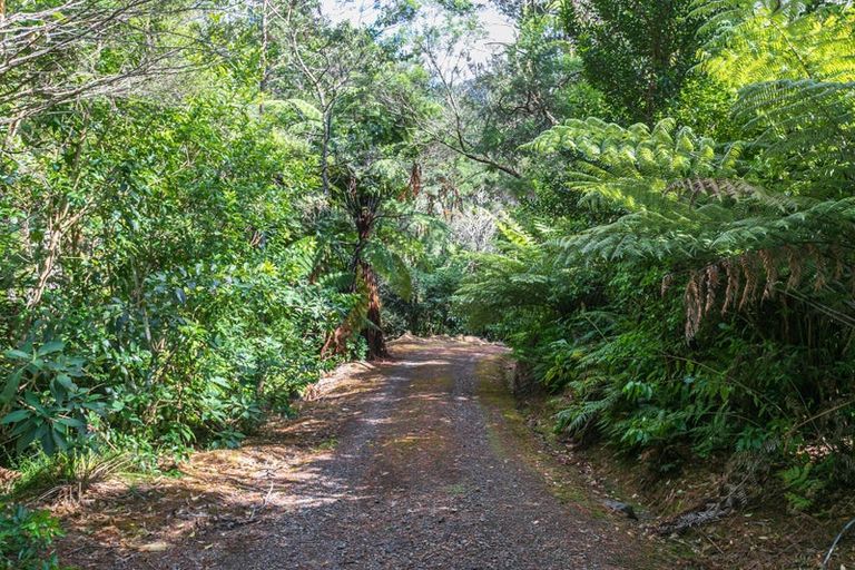 Photo of property in 738 The 309 Road, Waiau, Coromandel, 3581