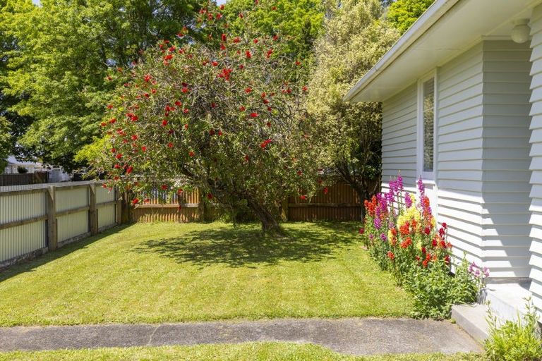Photo of property in 41 Te Rangitautahanga Road, Turangi, 3334