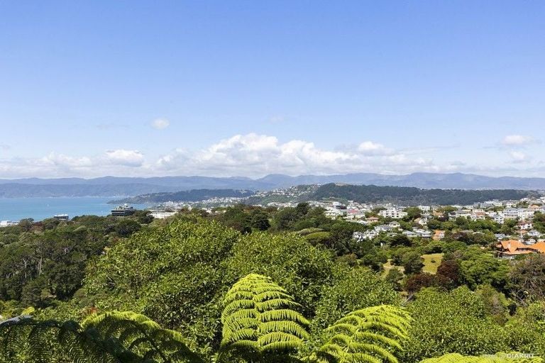 Photo of property in 53 Harbour View Road, Northland, Wellington, 6012